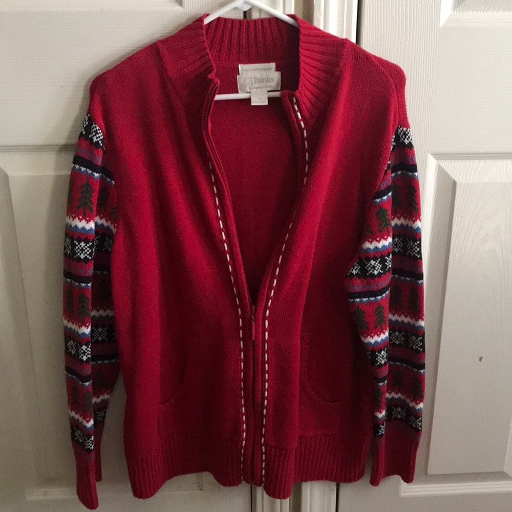 Christopher & Banks Winter Sweater